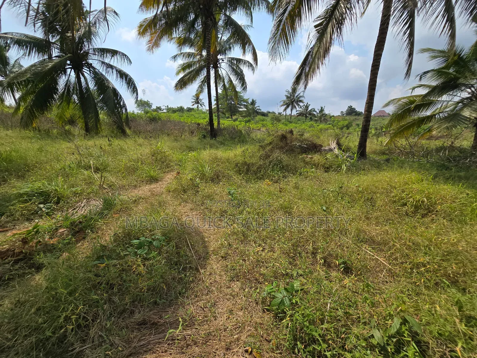 Plot for Sale at Madale in Goba