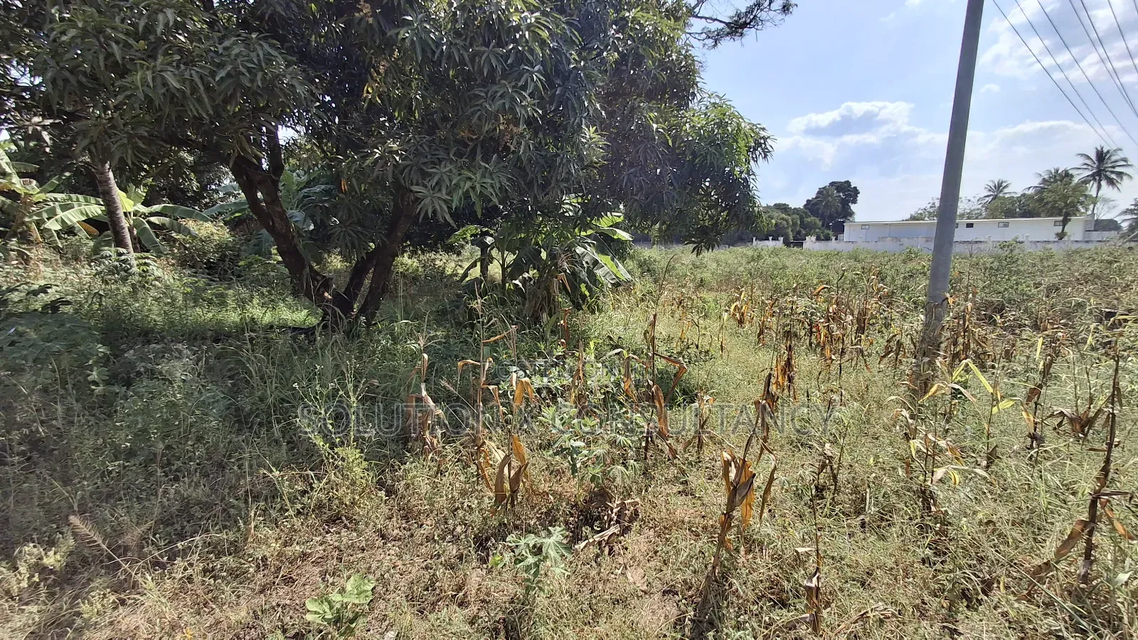 Eneo Linauzwa Mapinga Kwa Kibosha in Bagamoyo