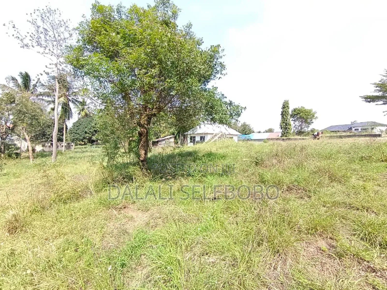 Plot at Mbez Mpigi Majoe Pazuri Sana in Mbezi