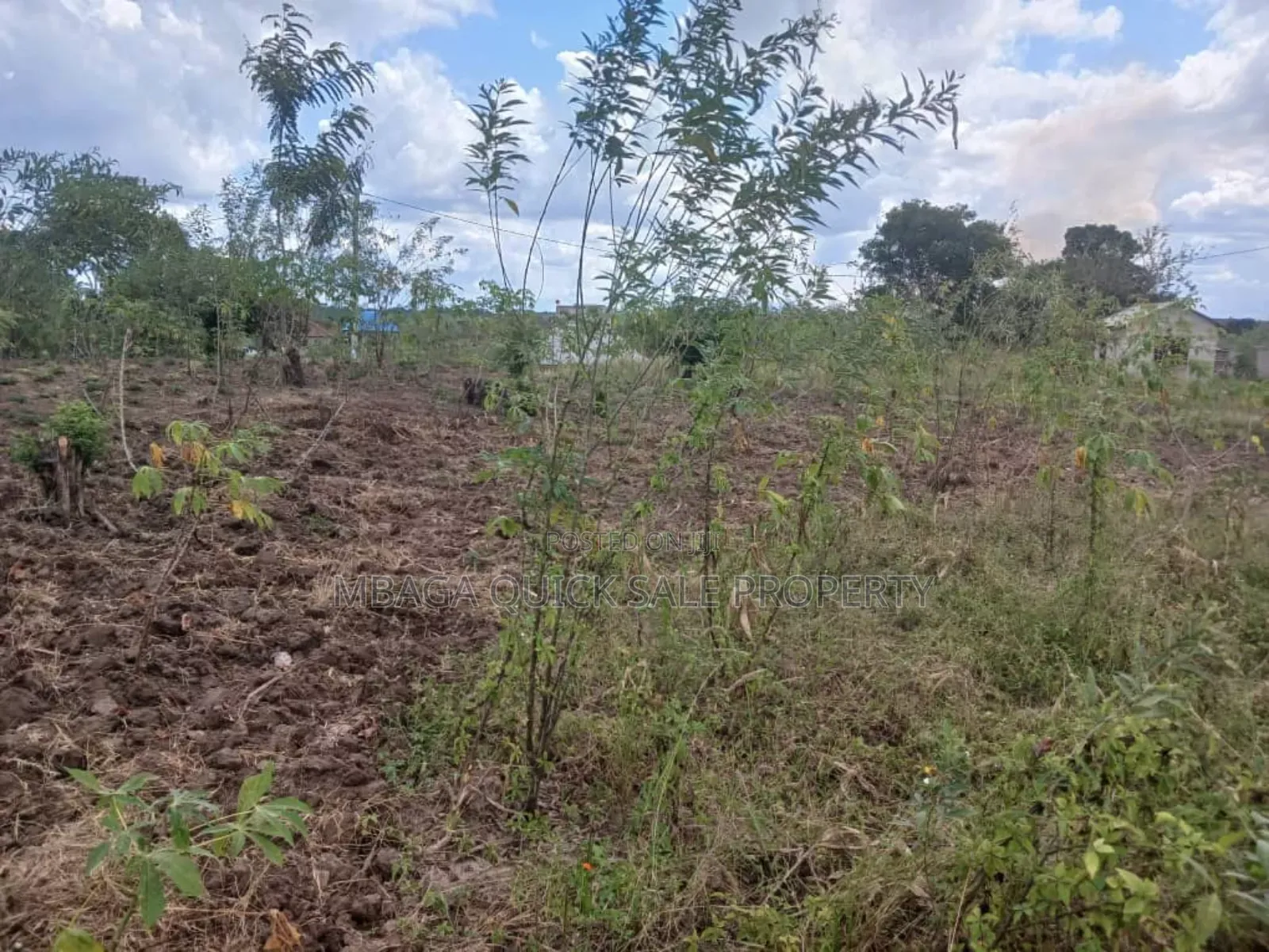 Plot for Sale at Kibaha Mkoani in Kibaha