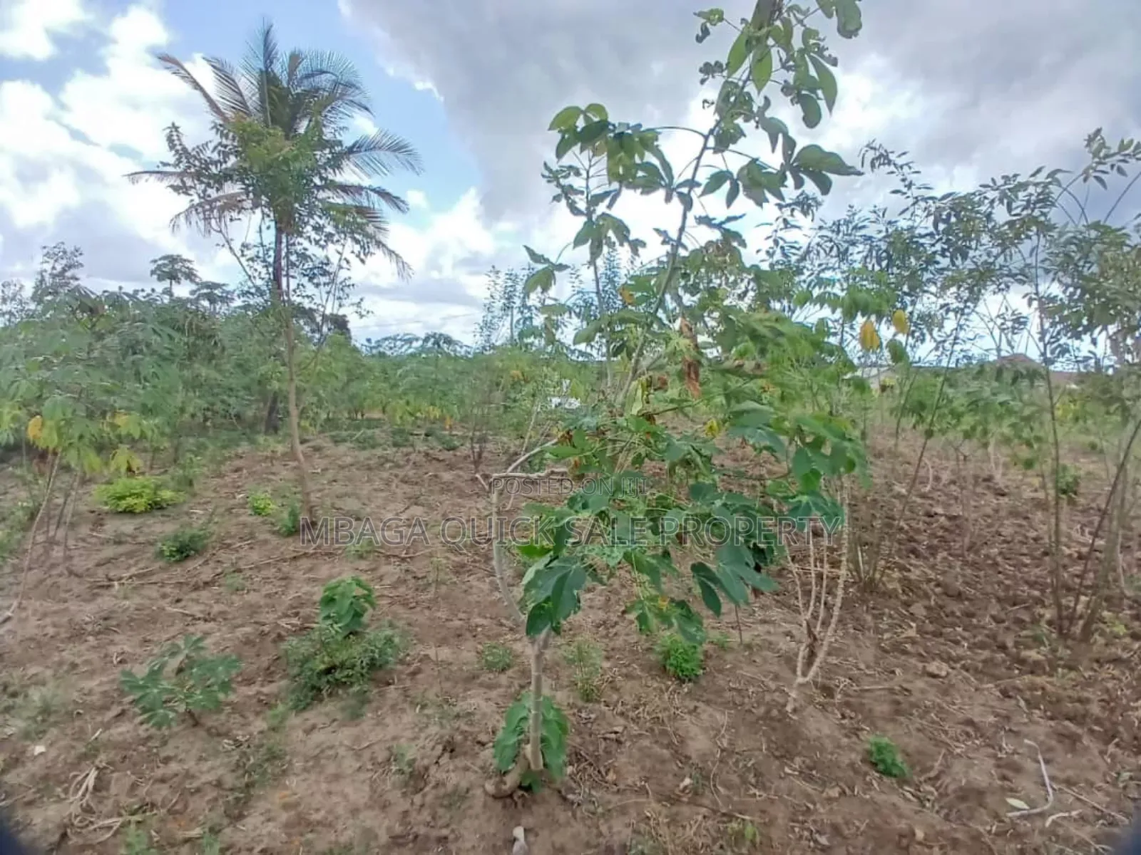 Plot for Sale at Kibaha Mkoani in Kibaha