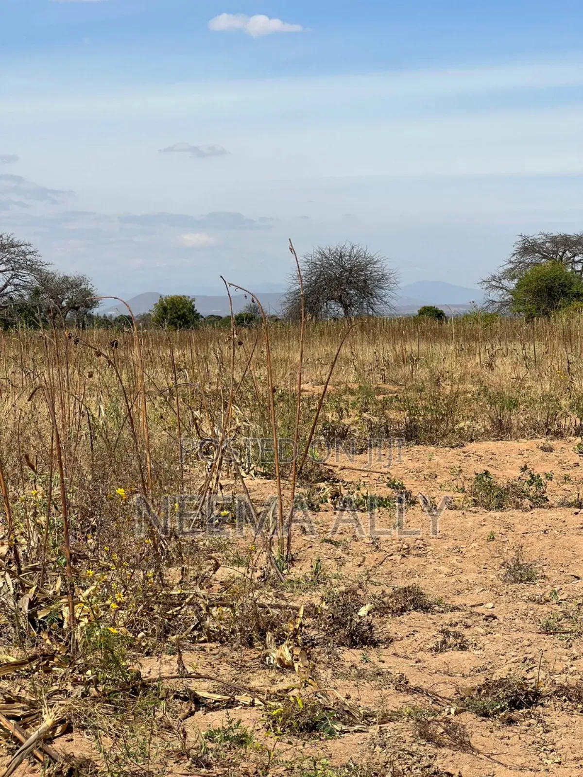 Viwanja Vizuri Kimbiji Moris in Kigamboni