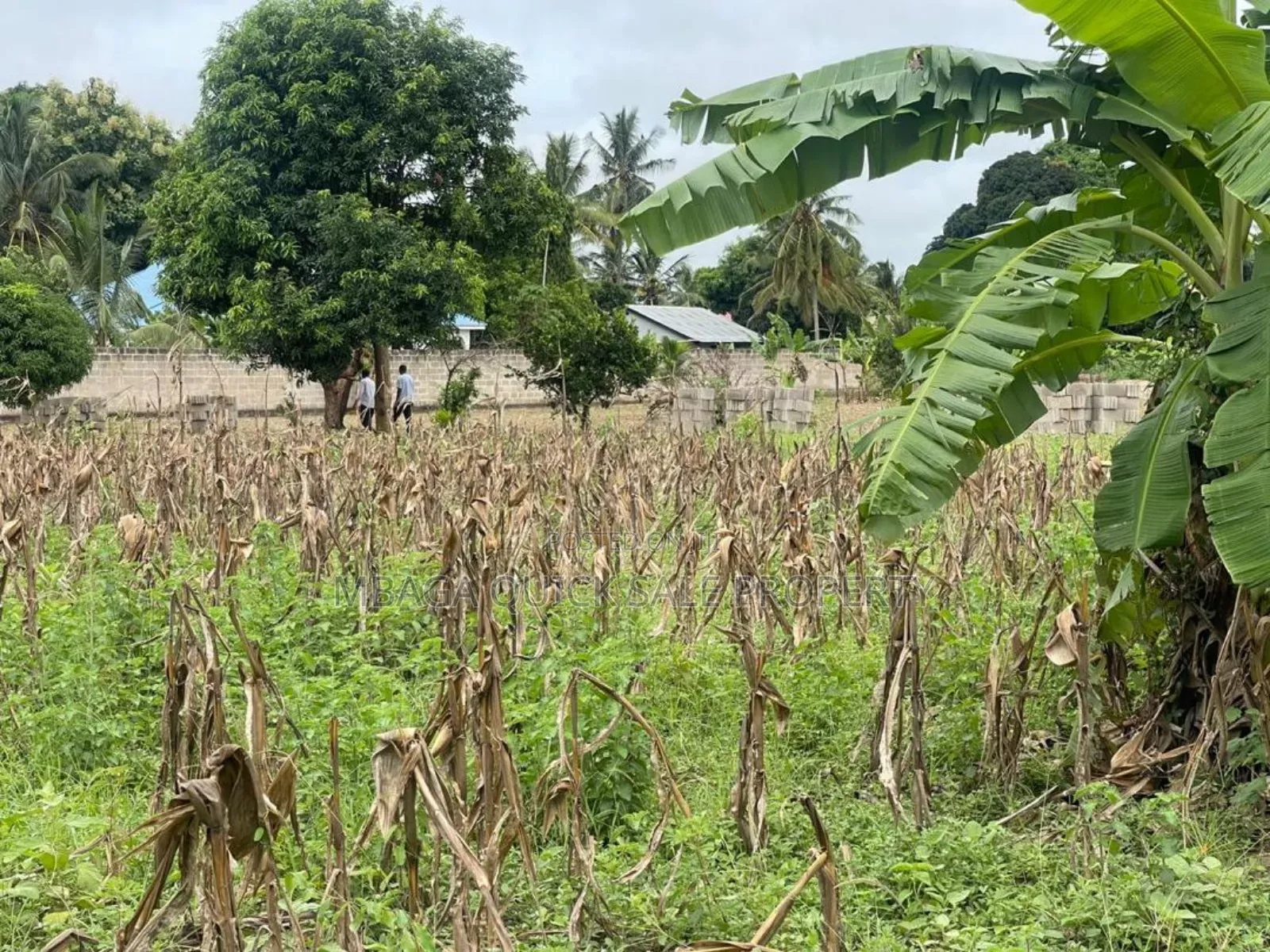 Plot for Sale at Kibaha Miembeni in Kibaha