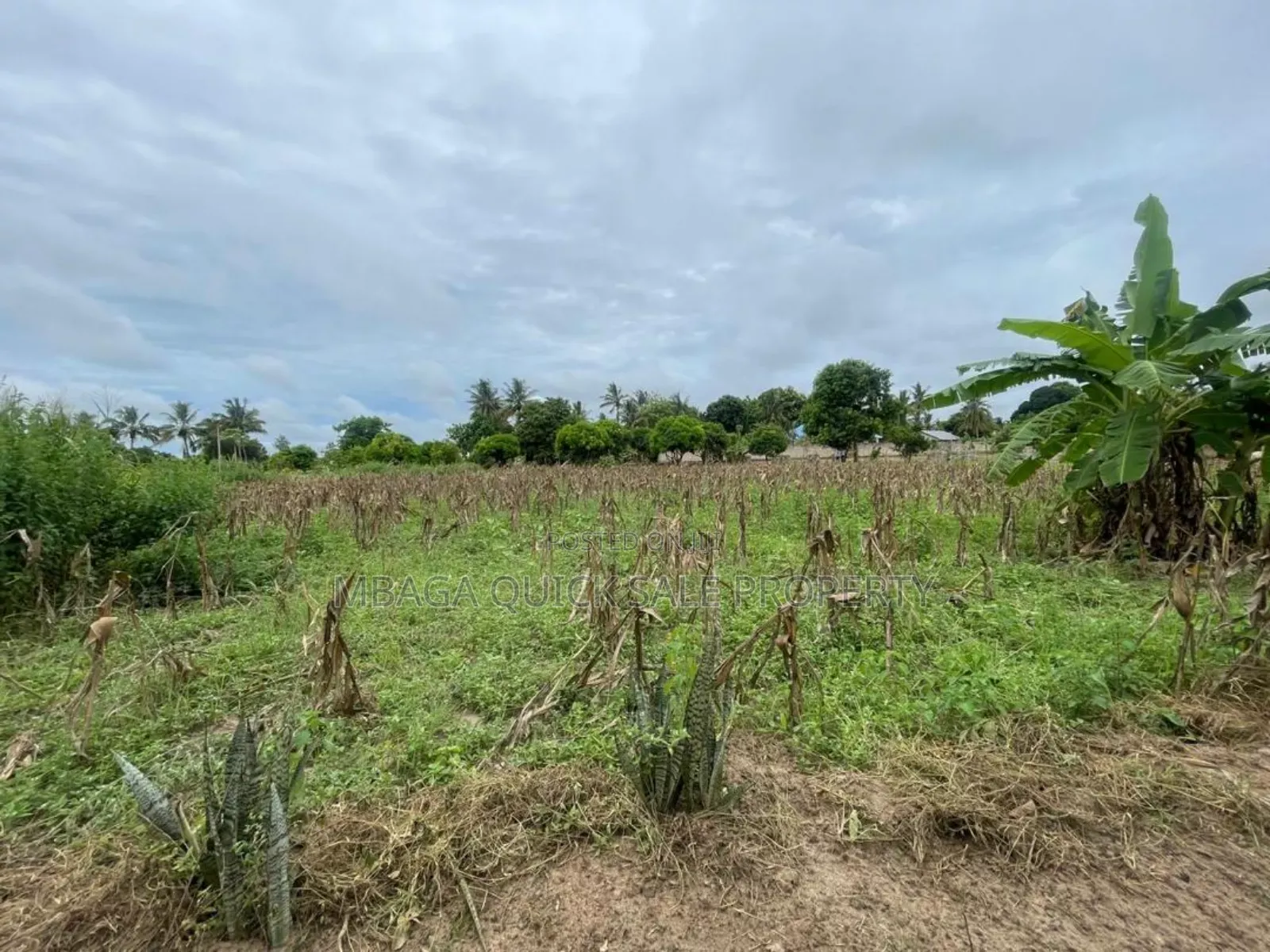 Plot for Sale at Kibaha Miembeni in Kibaha
