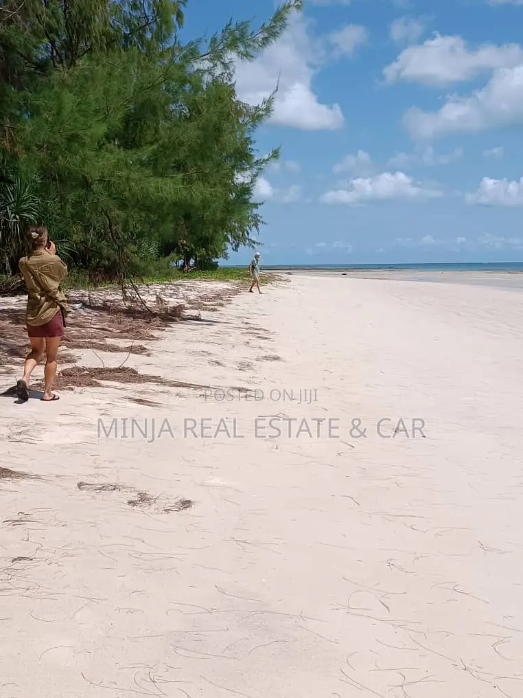 Beach Plot for Sale Banja Island in Mafia, Pwani in Kanga