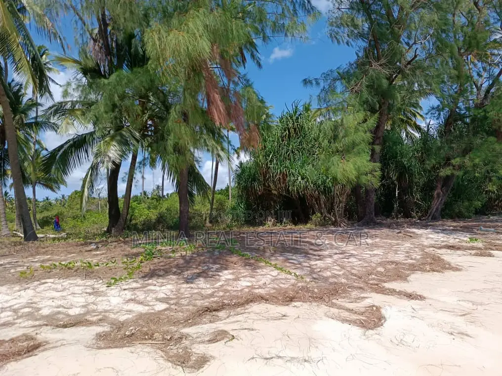 Beach Plot for Sale Banja Island in Mafia, Pwani in Kanga