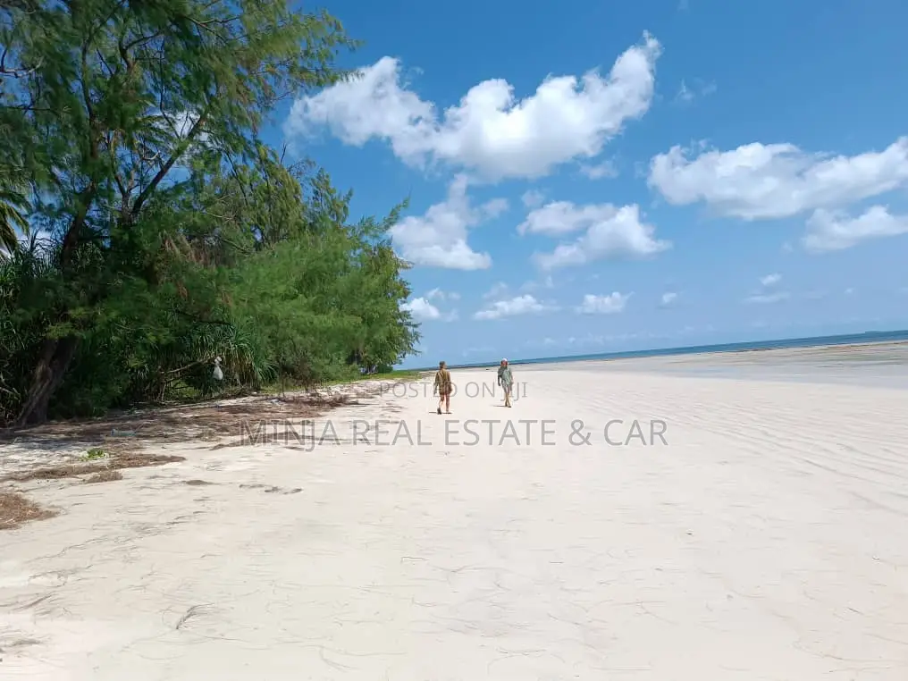 Beach Plot for Sale Banja Island in Mafia, Pwani in Kanga