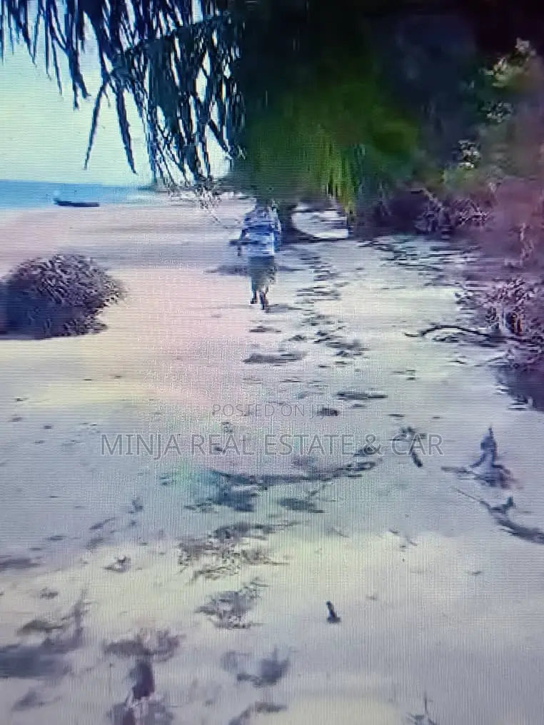 1.5 Acre Beach Plot for Sale Kitoni Mafia in Mafia Island