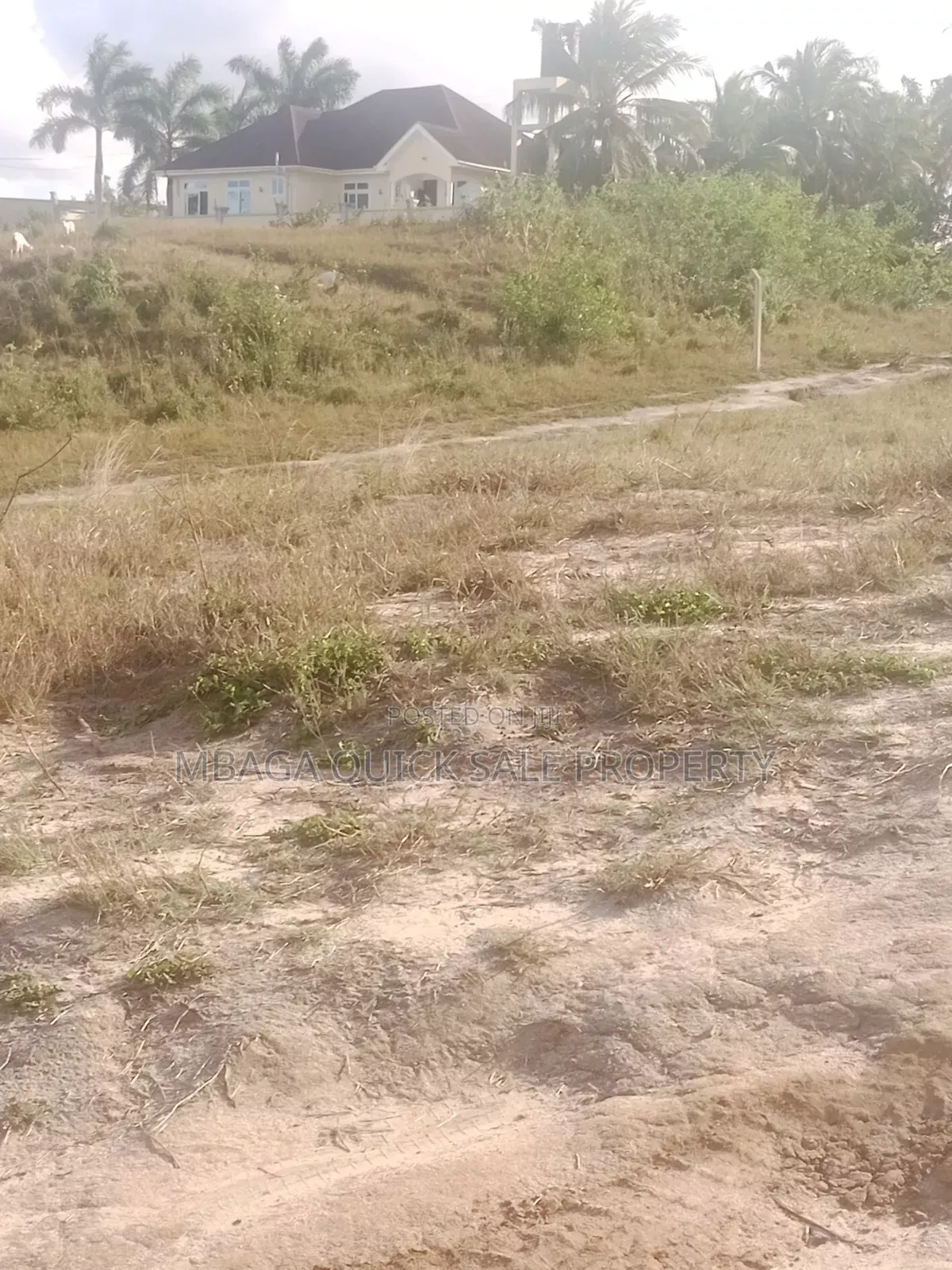 Plot for Sale Goba Lastanza in Goba