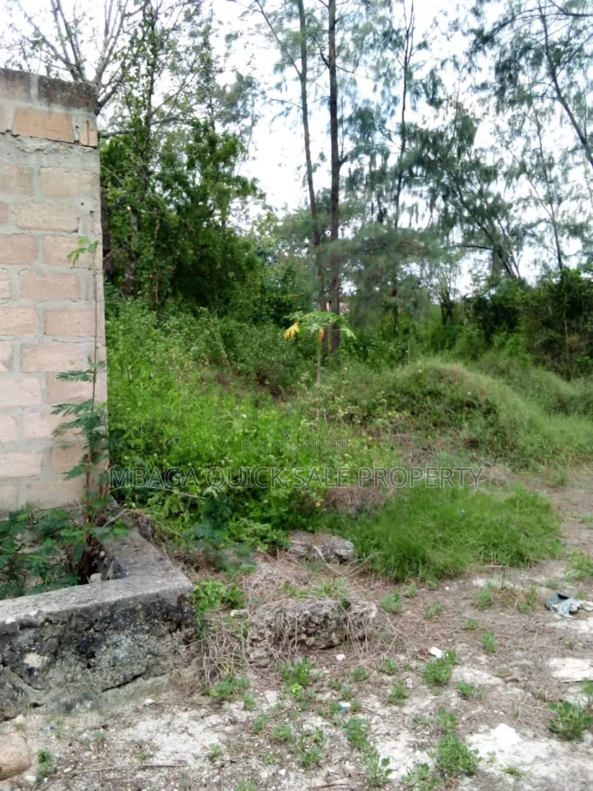 Beach Plot for Sale at Zanzibar Kendwa in Mjini Magharibi