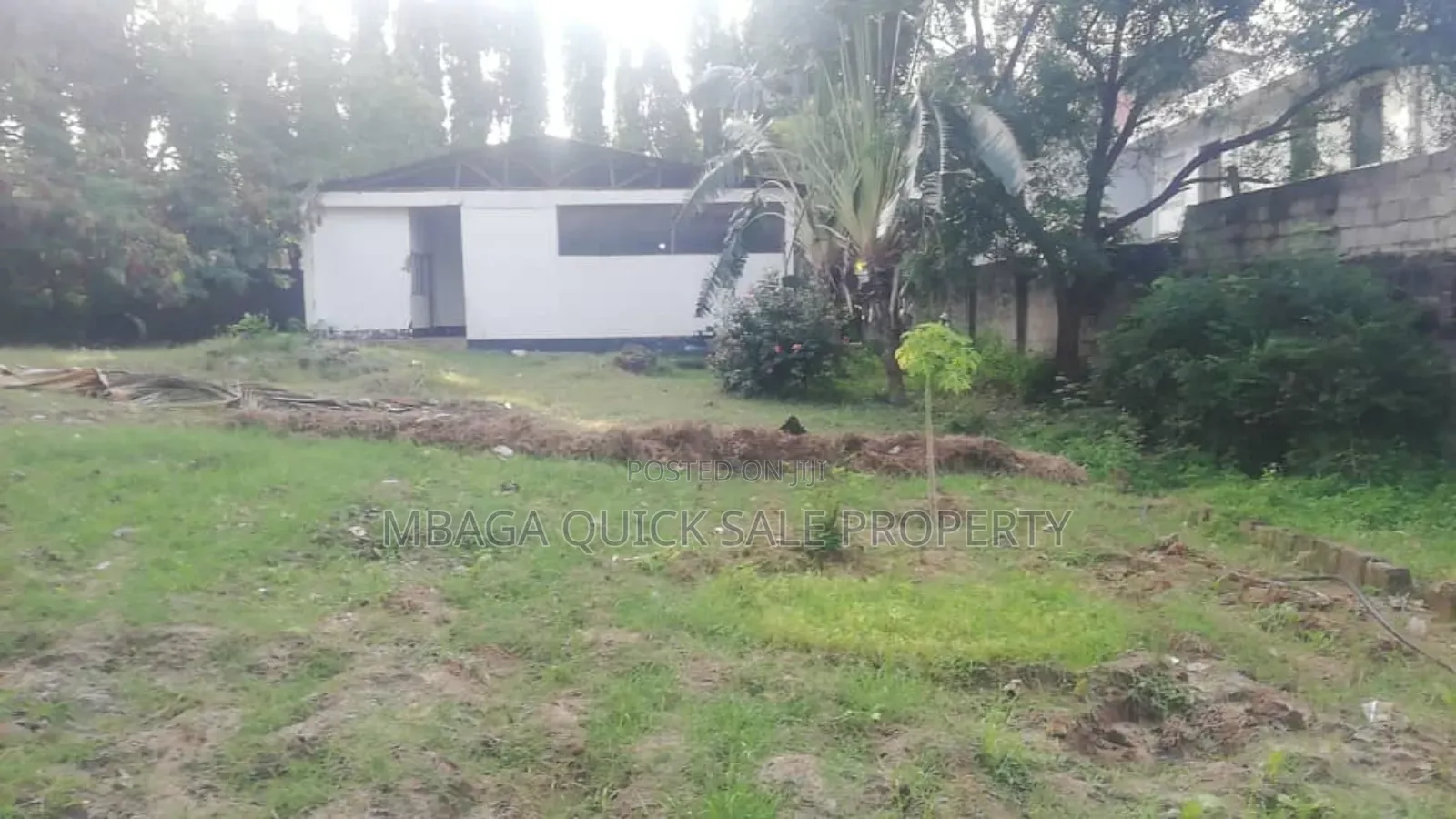 Godown With Big Yard for Rent at Mikocheni in Mikocheni