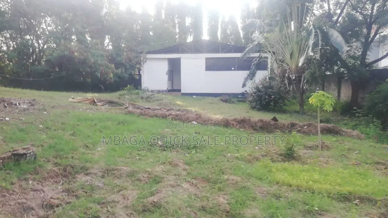 Godown With Big Yard for Rent at Mikocheni in Mikocheni