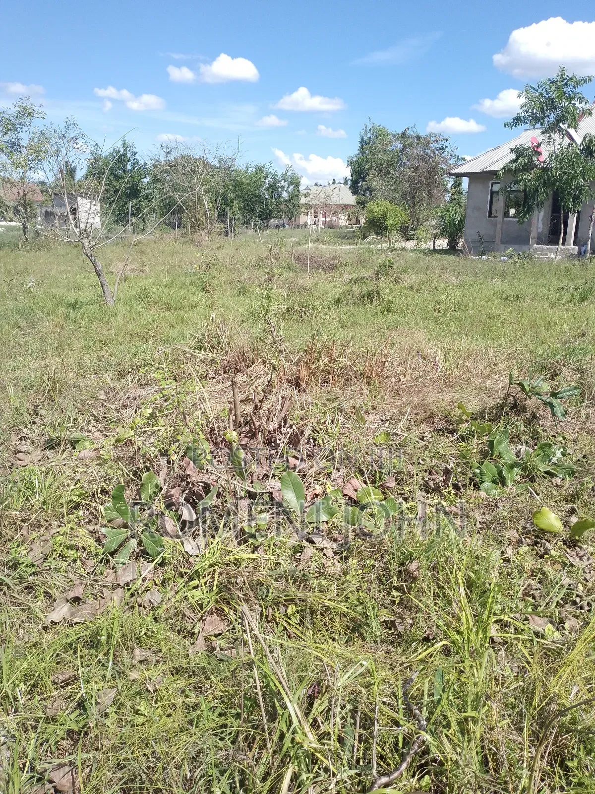 Kiwanja Sqmita 400 Kinauzwa Milioni 6.5 Majohe Viwege. in Ilala