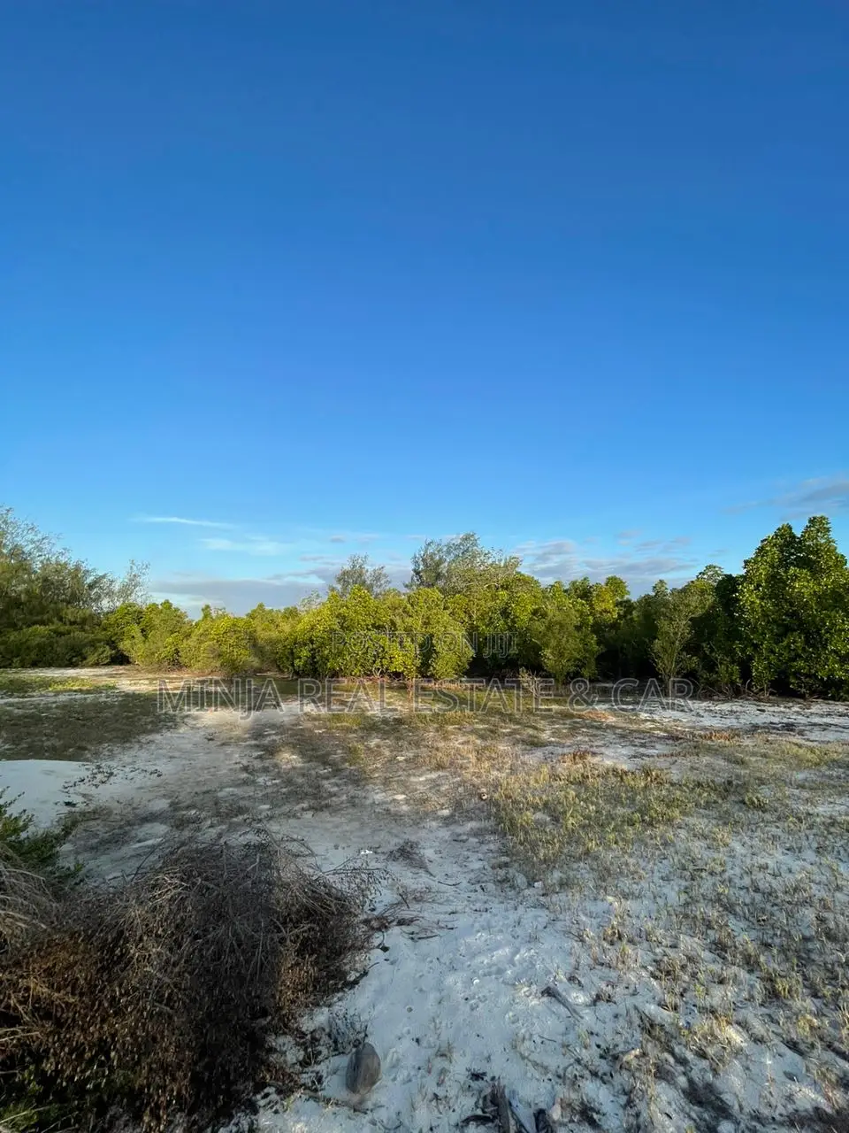 White Sand Beach Plot for Sale in Mafia Island Tanzania. in Kilindoni