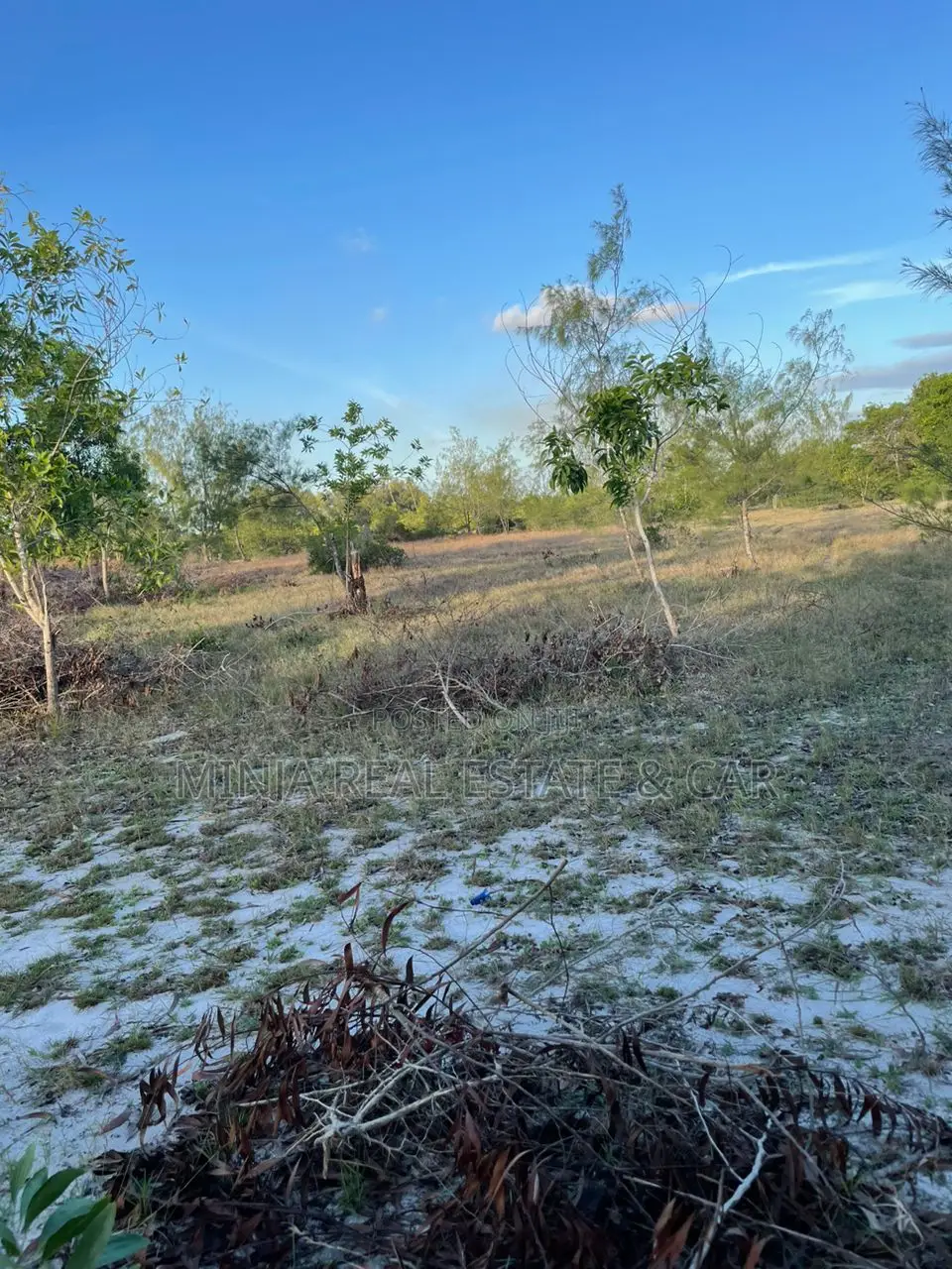 White Sand Beach Plot for Sale in Mafia Island Tanzania. in Kilindoni