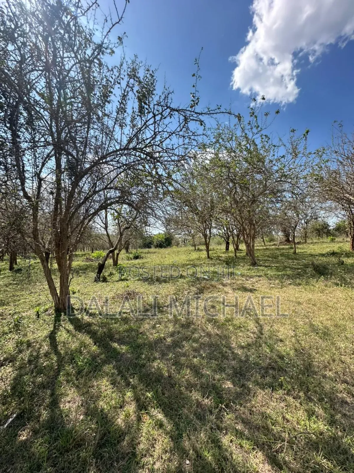 Land for Sale Madale Mivumoni in Goba