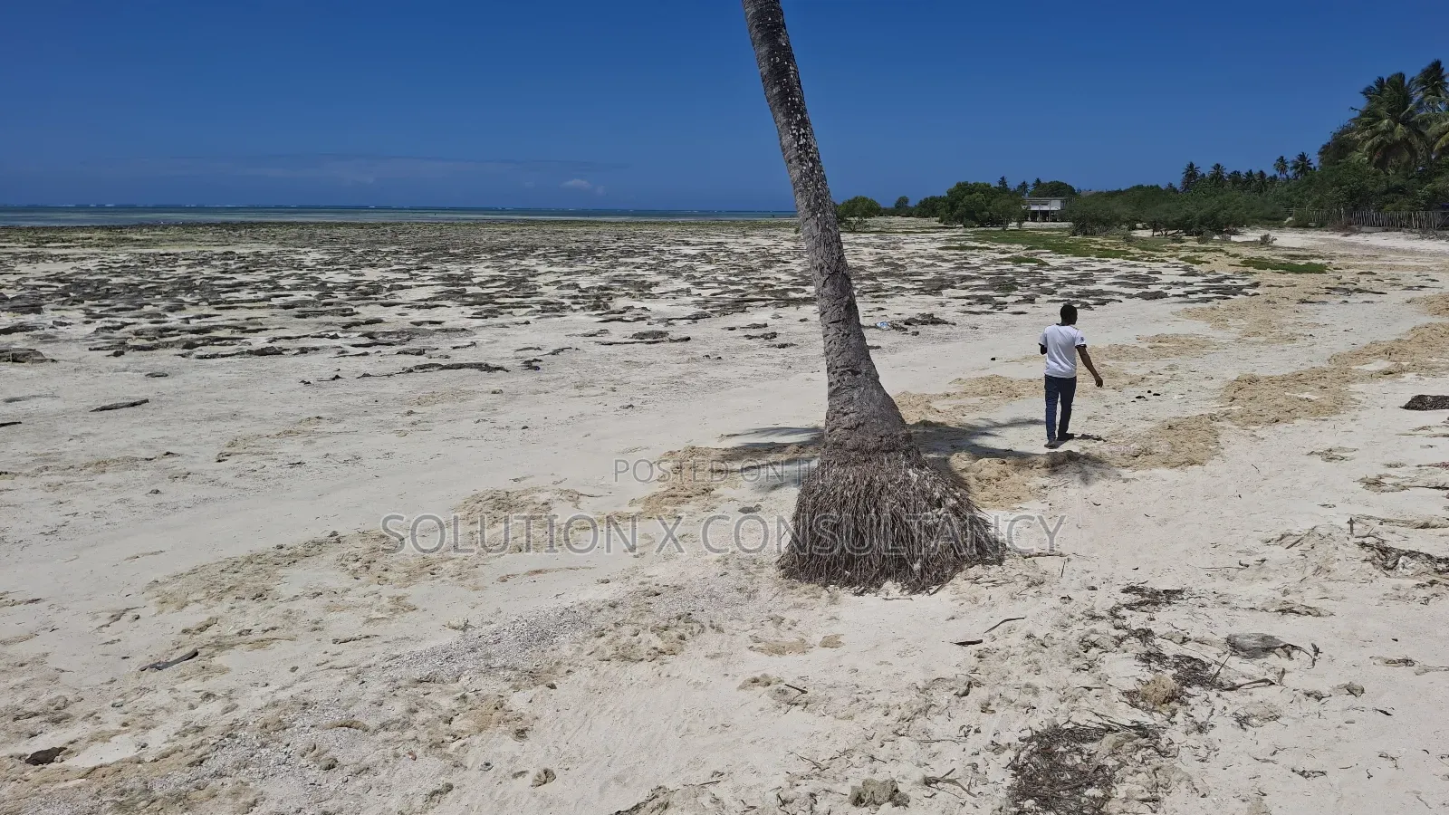 Beach Plot for Sale at Pongwe - Zanzibar in Unguja South