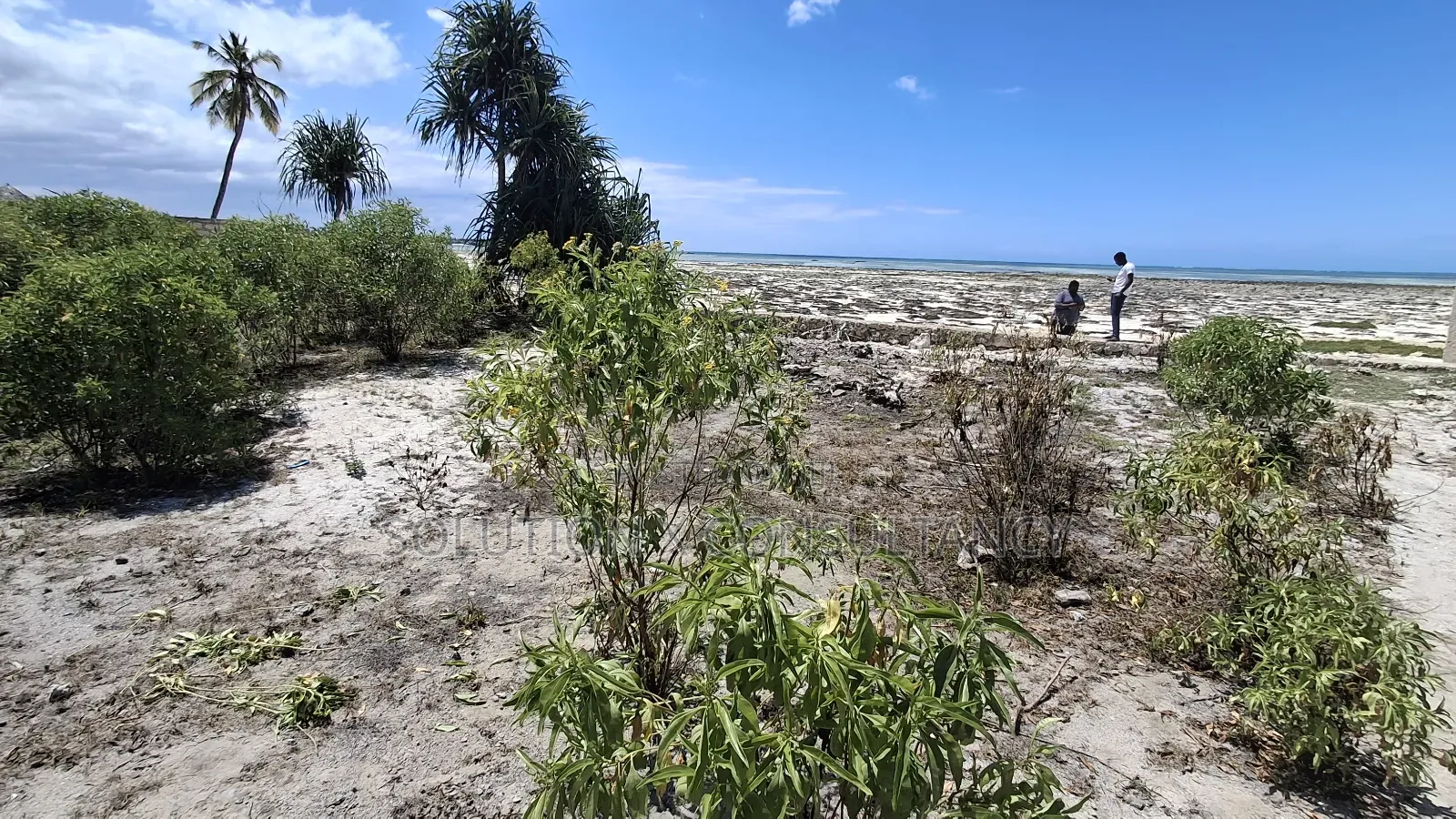 Beach Plot for Sale at Pongwe Zanzibar in Pongwe