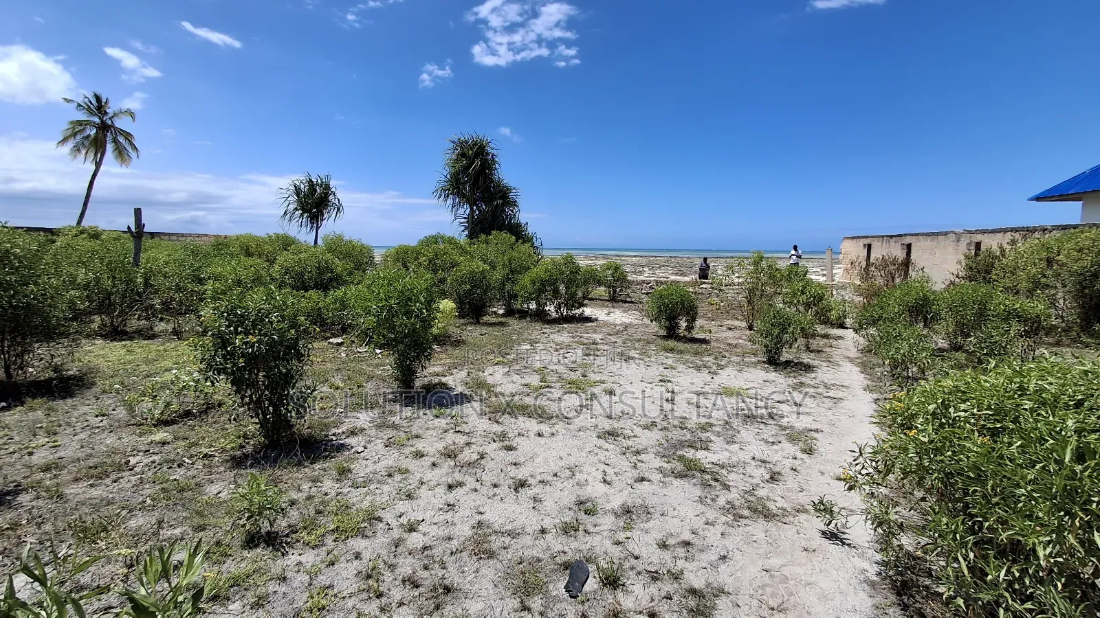Beach Plot for Sale at Pongwe Zanzibar in Pongwe