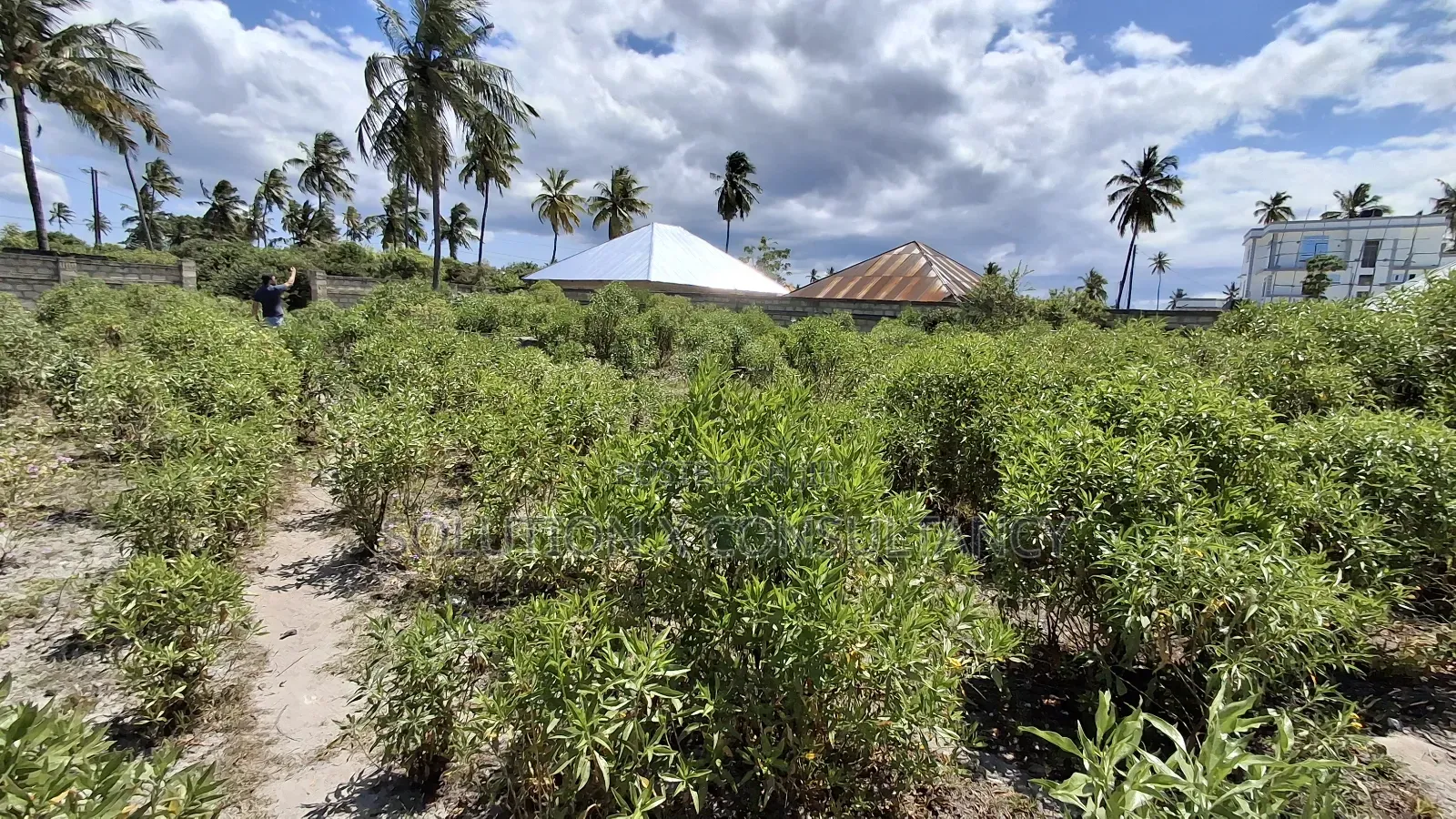 Beach Plot for Sale at Pongwe Zanzibar in Pongwe