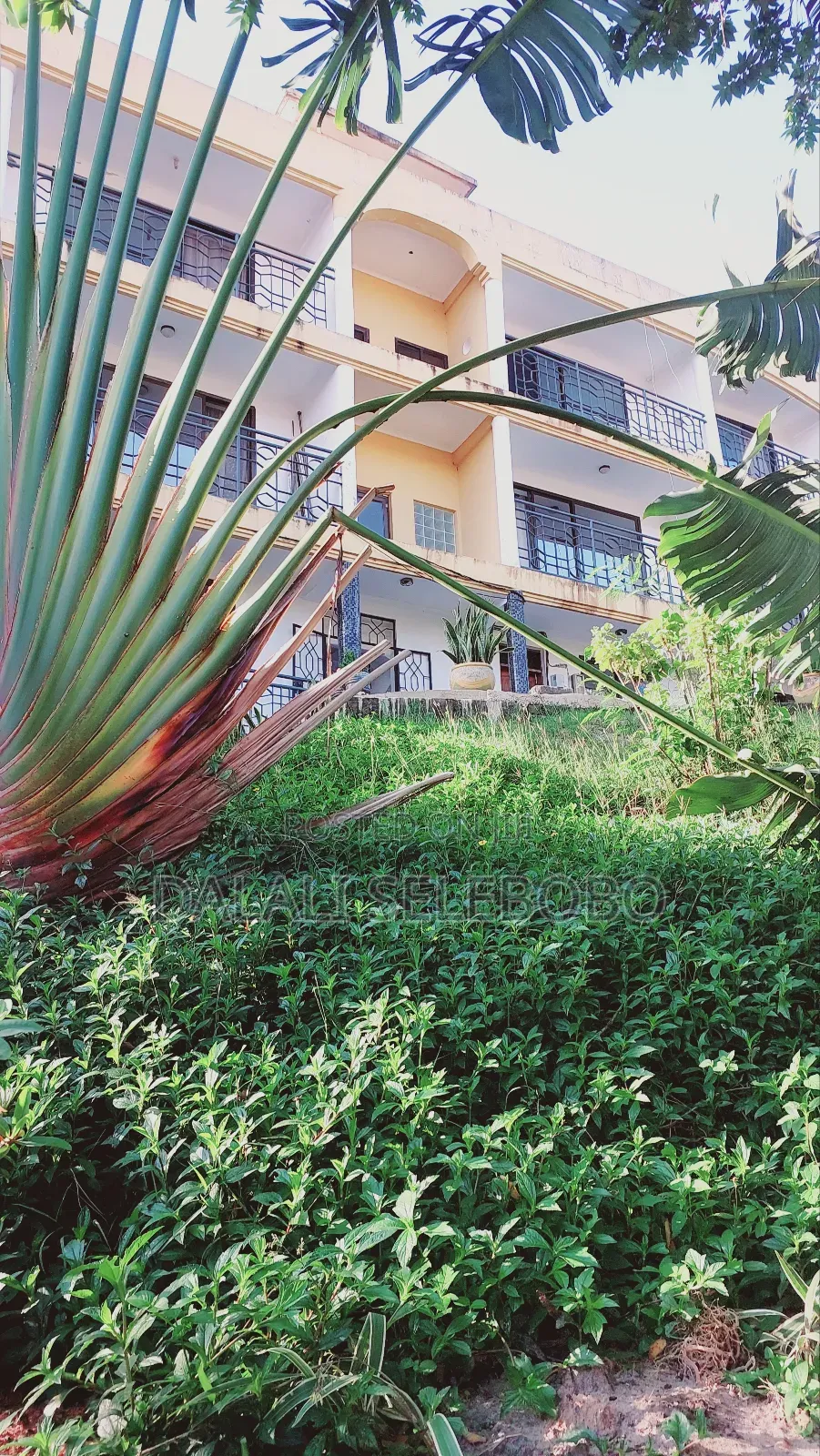 Mini Flat in Makongo, Kinondoni for rent in Kinondoni