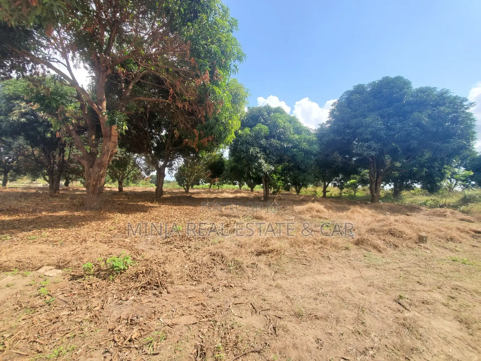 Plot for Sale Mbopo Madale in Goba