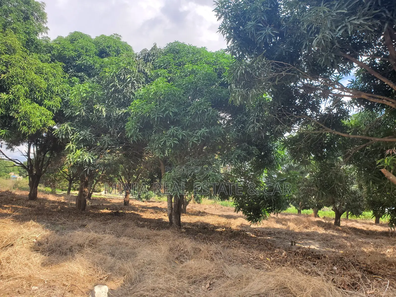 Plot for Sale Mbopo Madale in Goba
