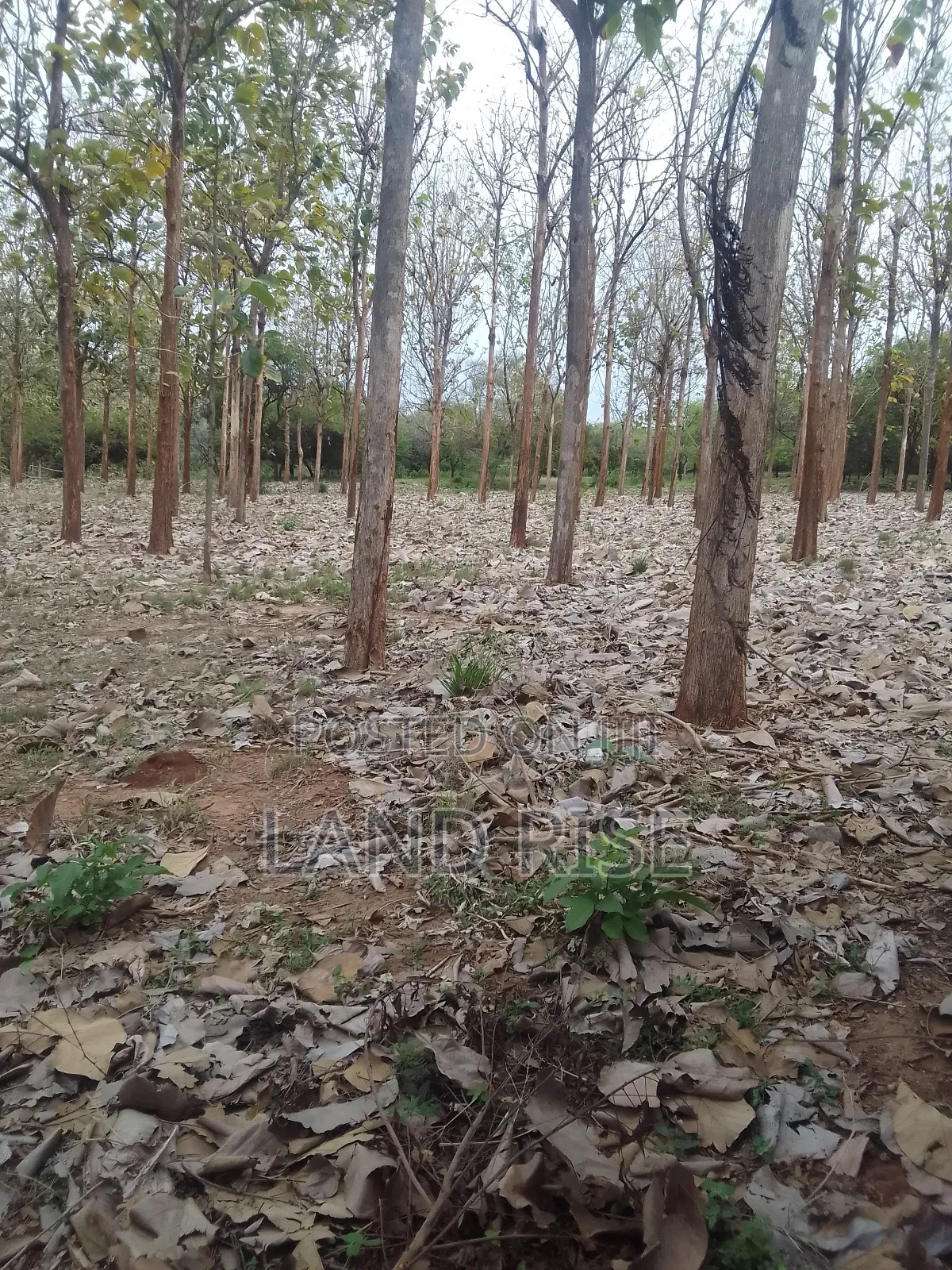 5 Acres for Sale Bagamoyo Road Mbezi Beach in Mbezi Beach