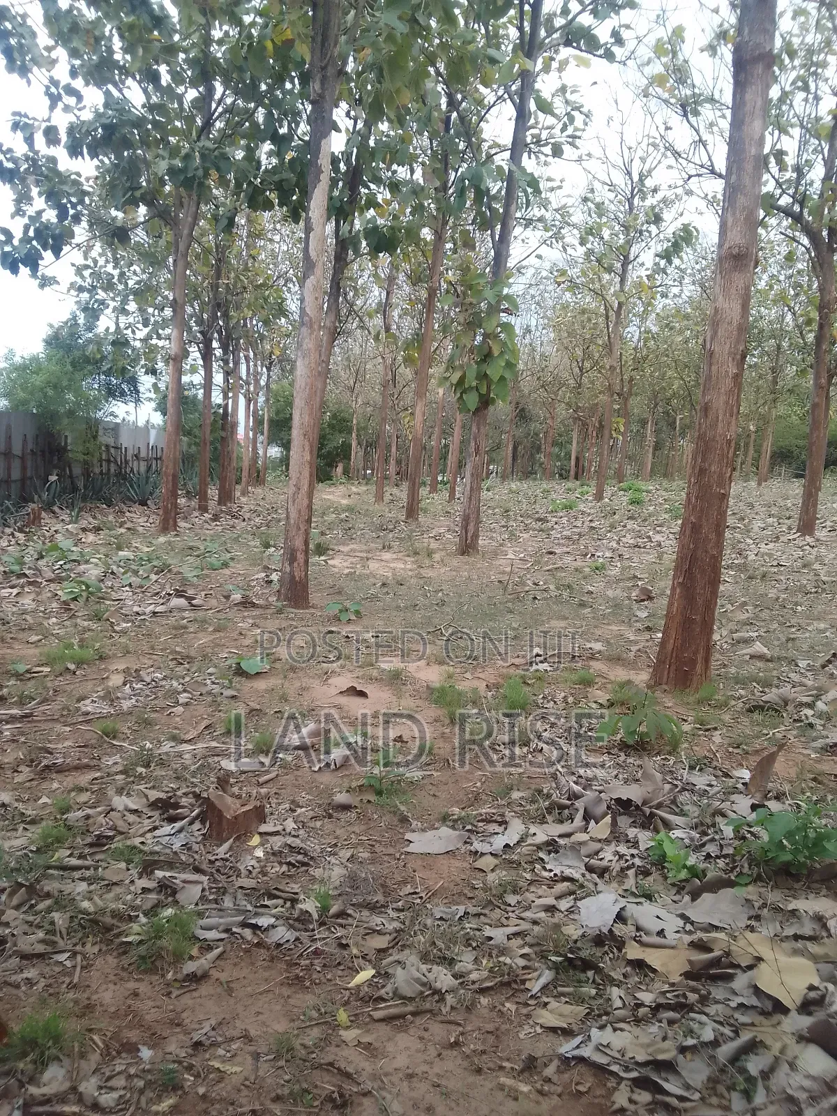5 Acres for Sale Bagamoyo Road Mbezi Beach in Mbezi Beach