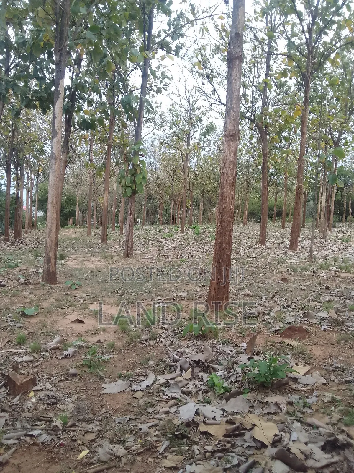 5 Acres for Sale Bagamoyo Road Mbezi Beach in Mbezi Beach
