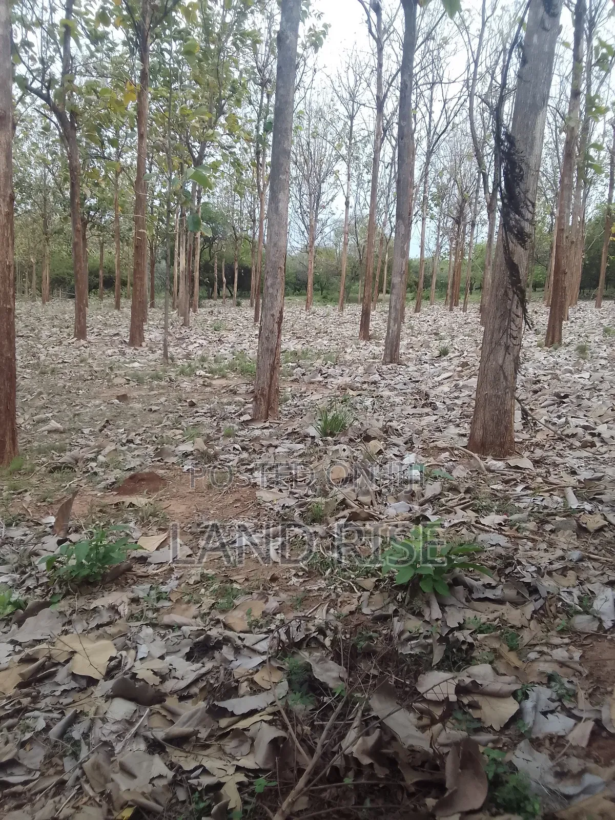 5 Acres for Sale Bagamoyo Road Mbezi Beach in Mbezi Beach