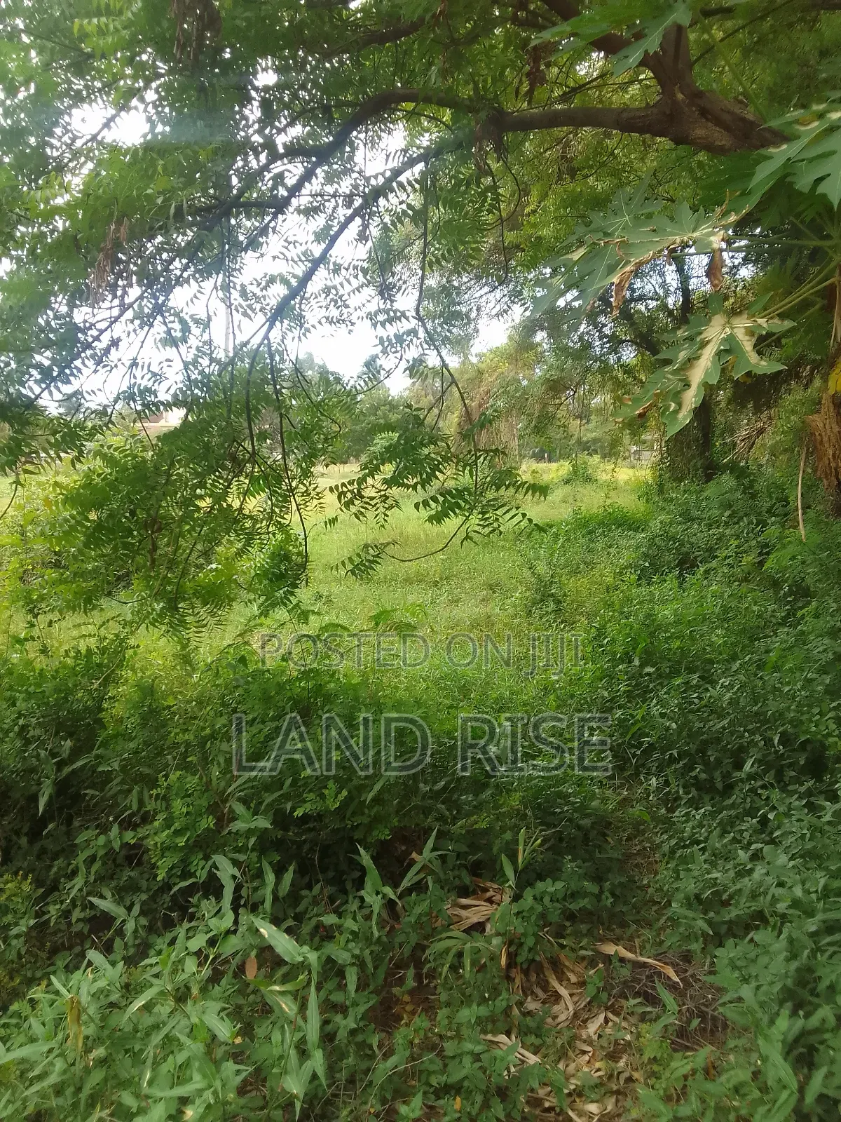 3 Acres of Land for Sale in Mbezi Beach Rainbow in Mbezi Beach