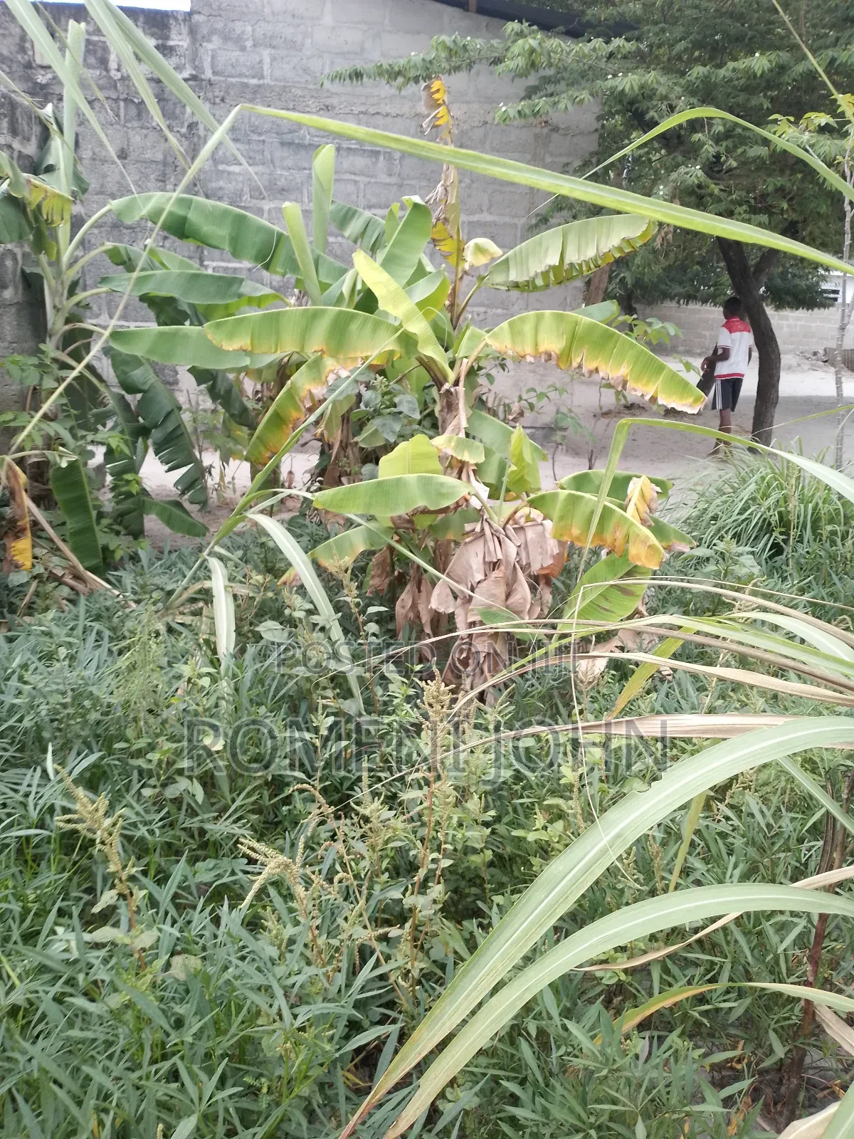 Kiwanja Kinauzwa Milioni 2.5 Majohe Viwege. in Ilala