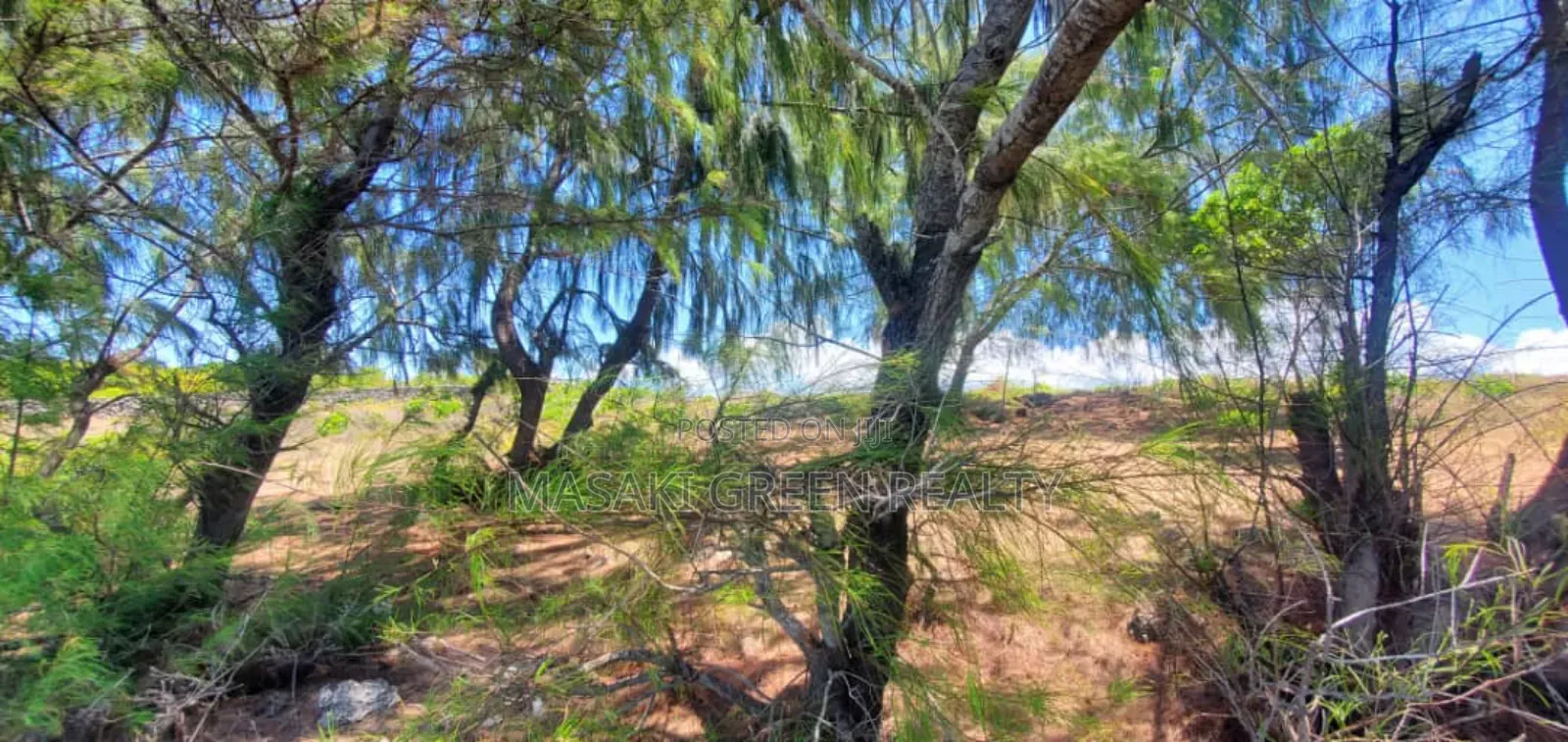 Beach Plot for Sale at Zanzibar in Unguja North