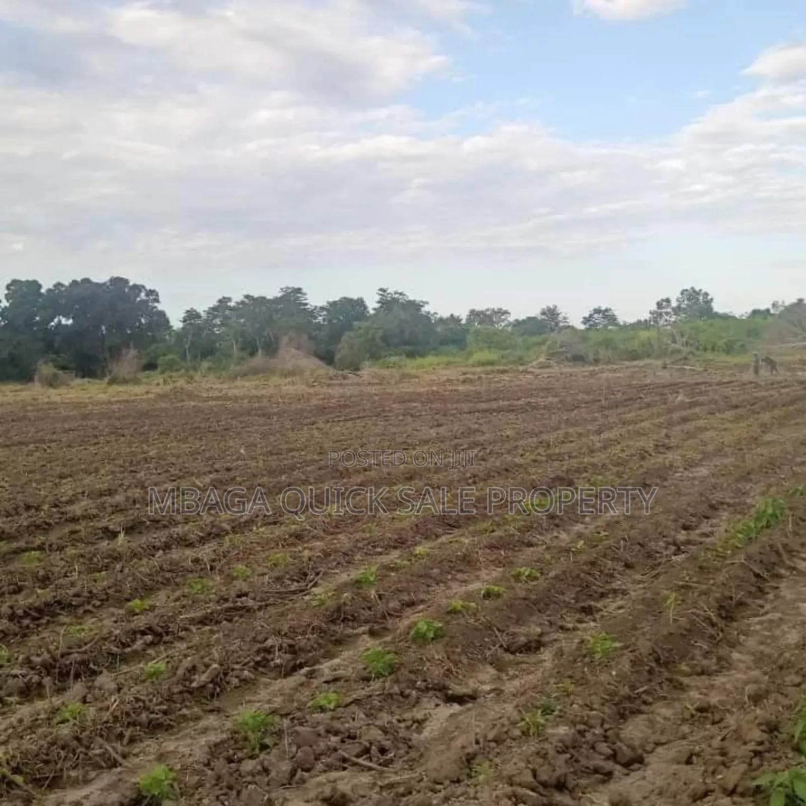 Farm Along the River With 184 Acres at Bagamoyo Wami River in Bagamoyo