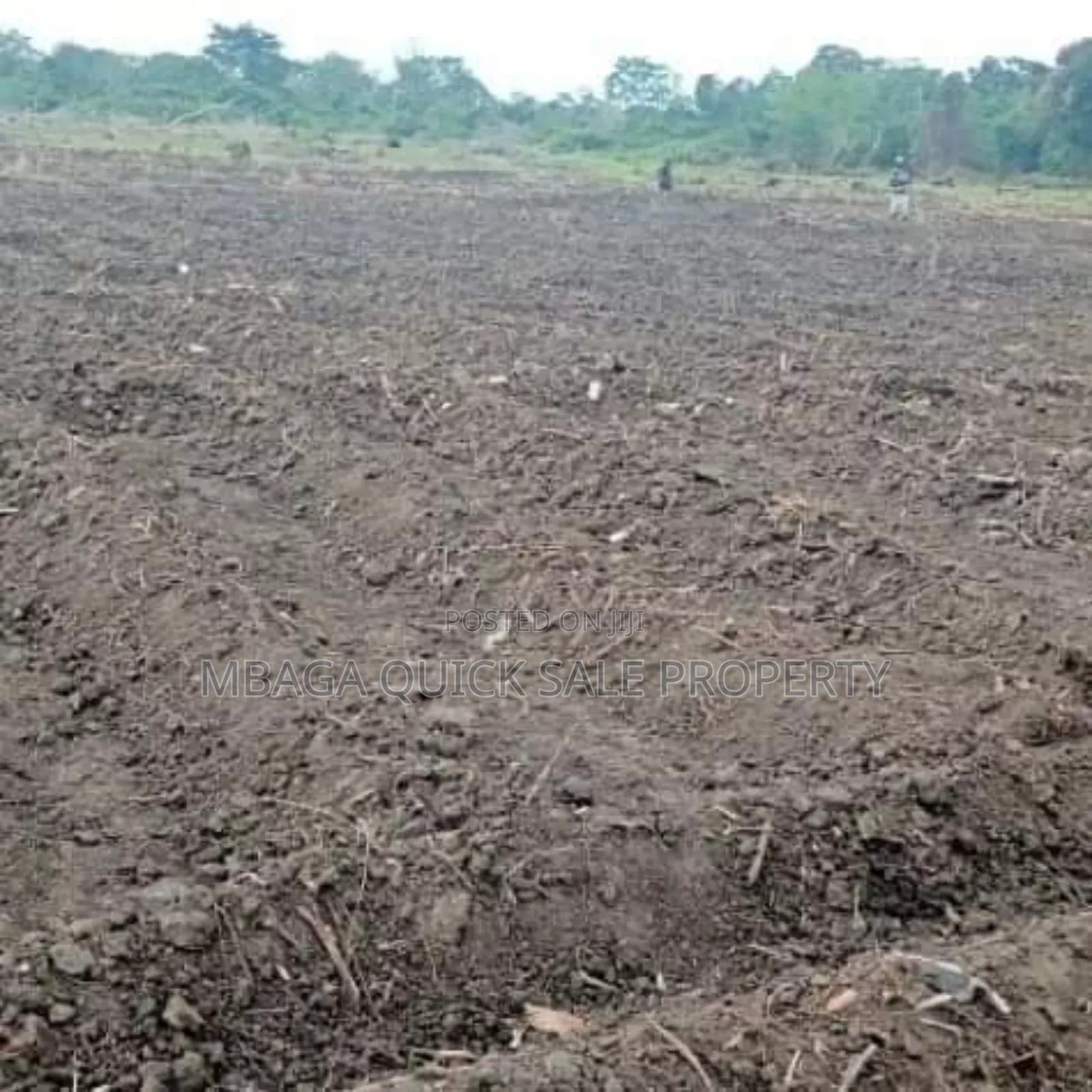 Farm Along the River With 184 Acres at Bagamoyo Wami River in Bagamoyo