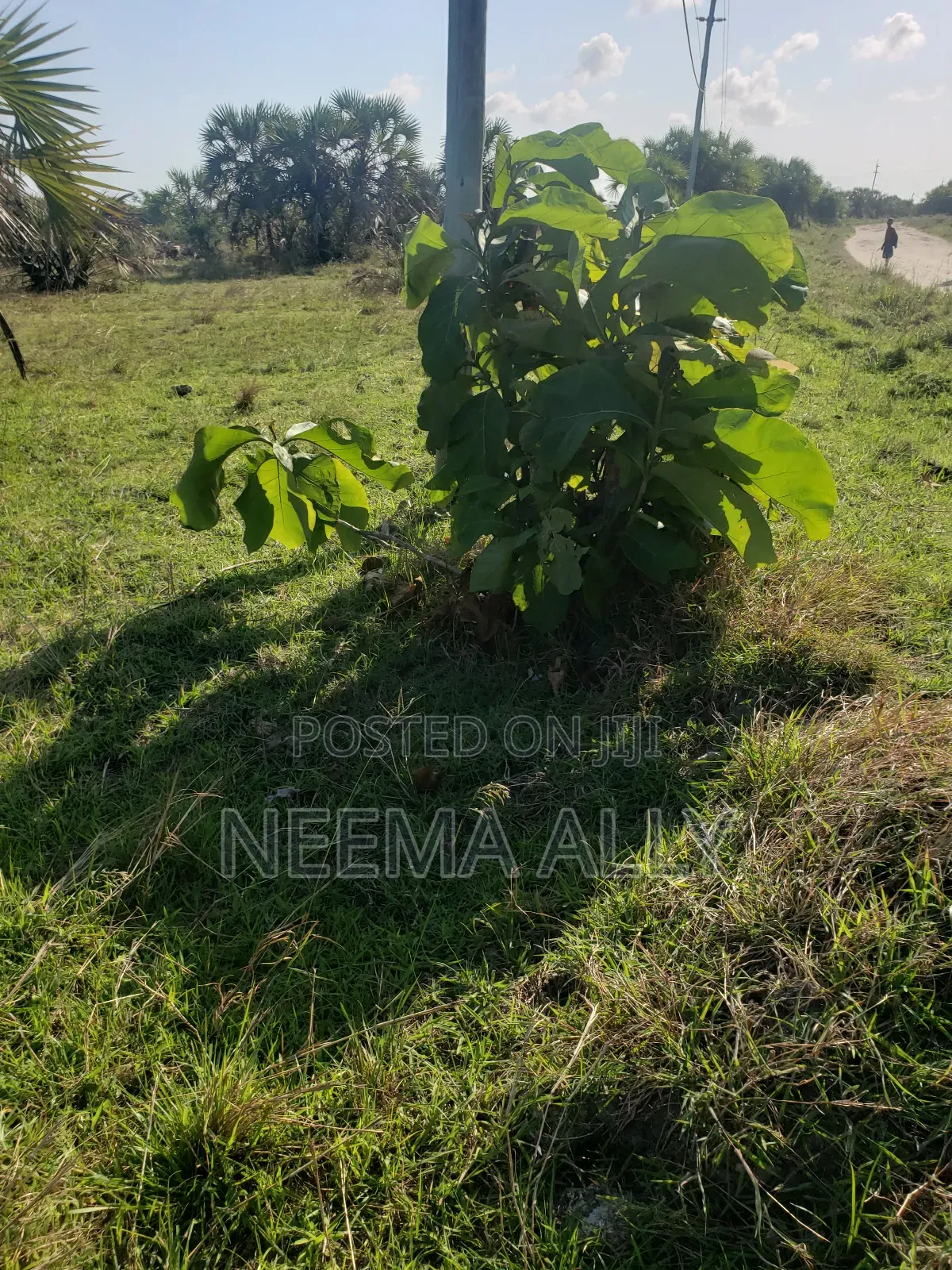 Anza Na 300,000 Viwanja Kibaha in Soga