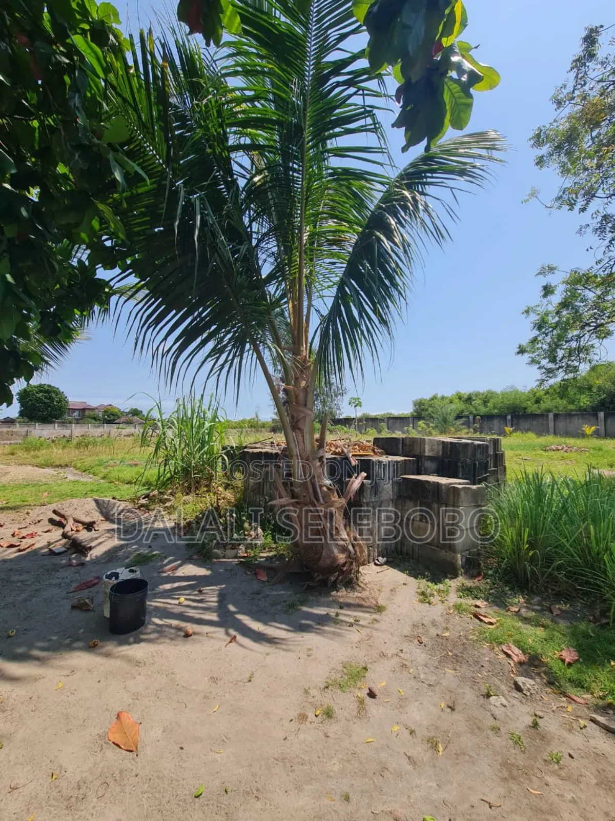 Plot Sale at Mbezi Beach in Mbezi Beach