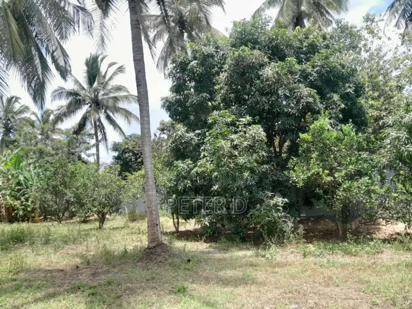 Kiwanja Kizuri Mbezi Makabe in Mbezi