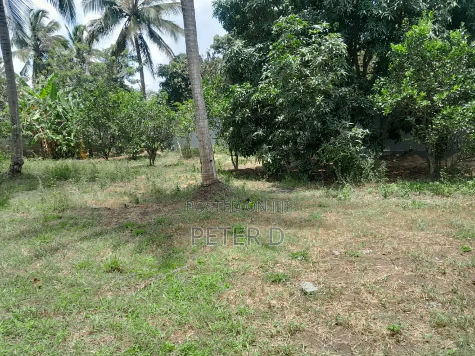Kiwanja Kizuri Mbezi Makabe in Mbezi