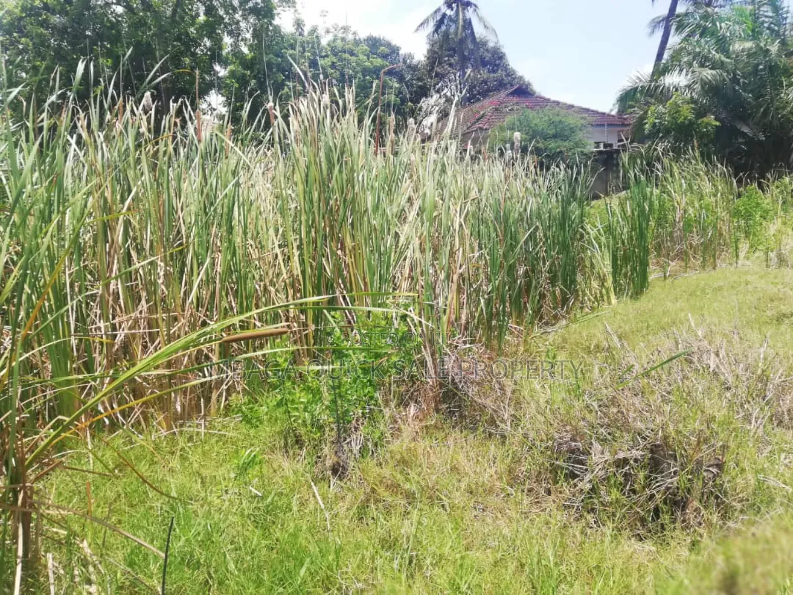 Big Plot Available for Rent at Mbezi Beach in Mbezi Beach