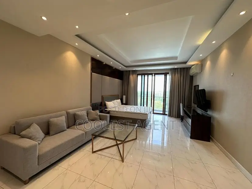 Furnished Studio Apartment in Masaki, Kinondoni for rent in Kinondoni