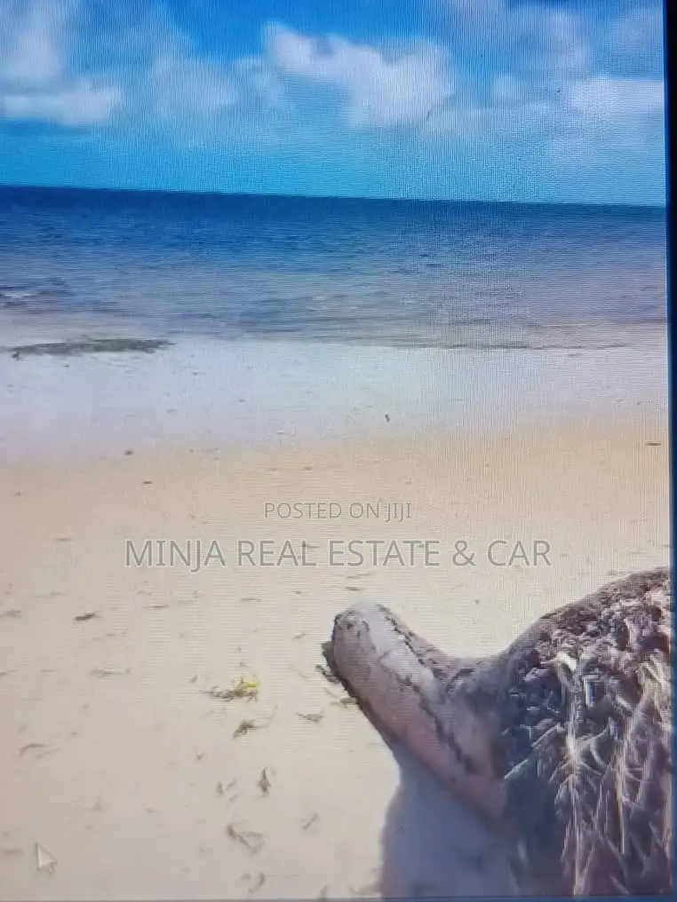 Beach Plot for Sale Banja Mafia in Kanga