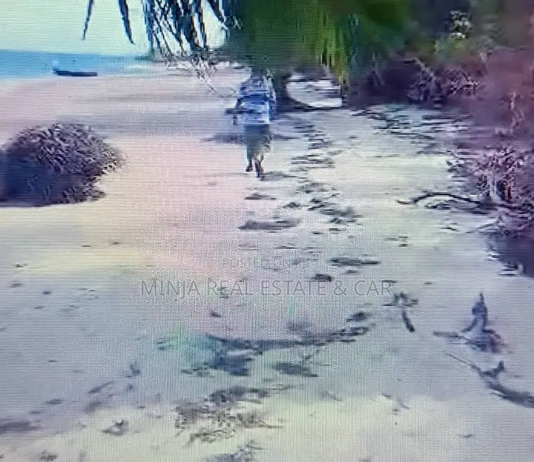 Beach Plot for Sale Banja Mafia in Kanga