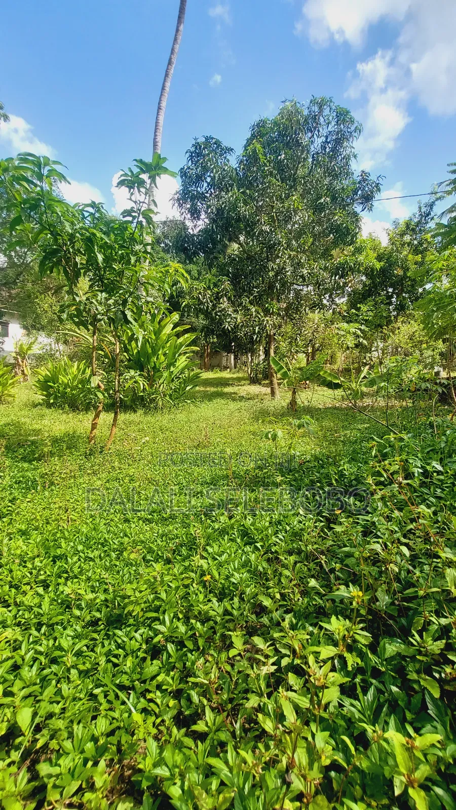 Plot Nzur Sana at Mbezi Kibanda Cha Mkaa in Kimala