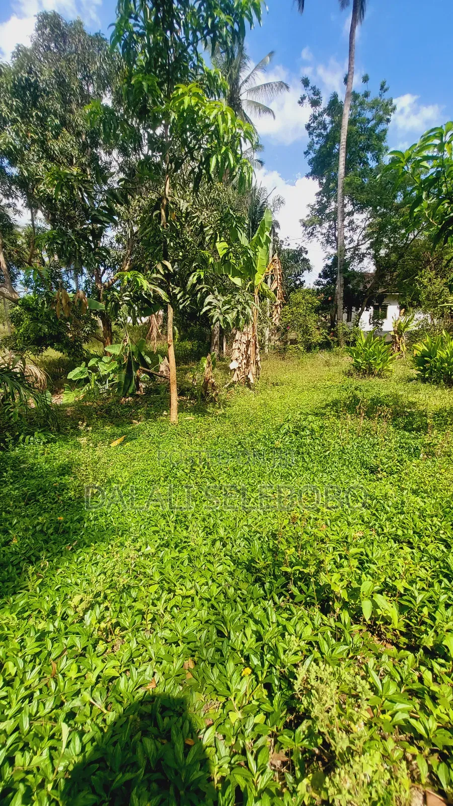 Plot Nzur Sana at Mbezi Kibanda Cha Mkaa in Kimala