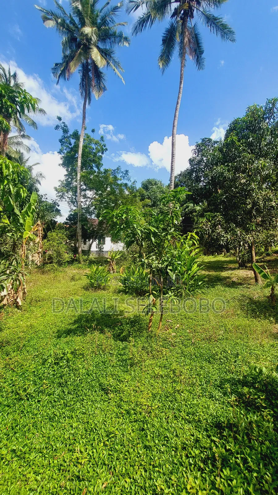 Plot Nzur Sana at Mbezi Kibanda Cha Mkaa in Kimala