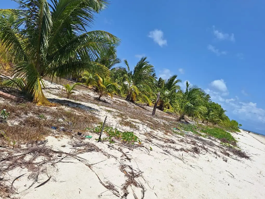 White Sand Beach Pllot for Sale Bweni Mafia Island in Kanga