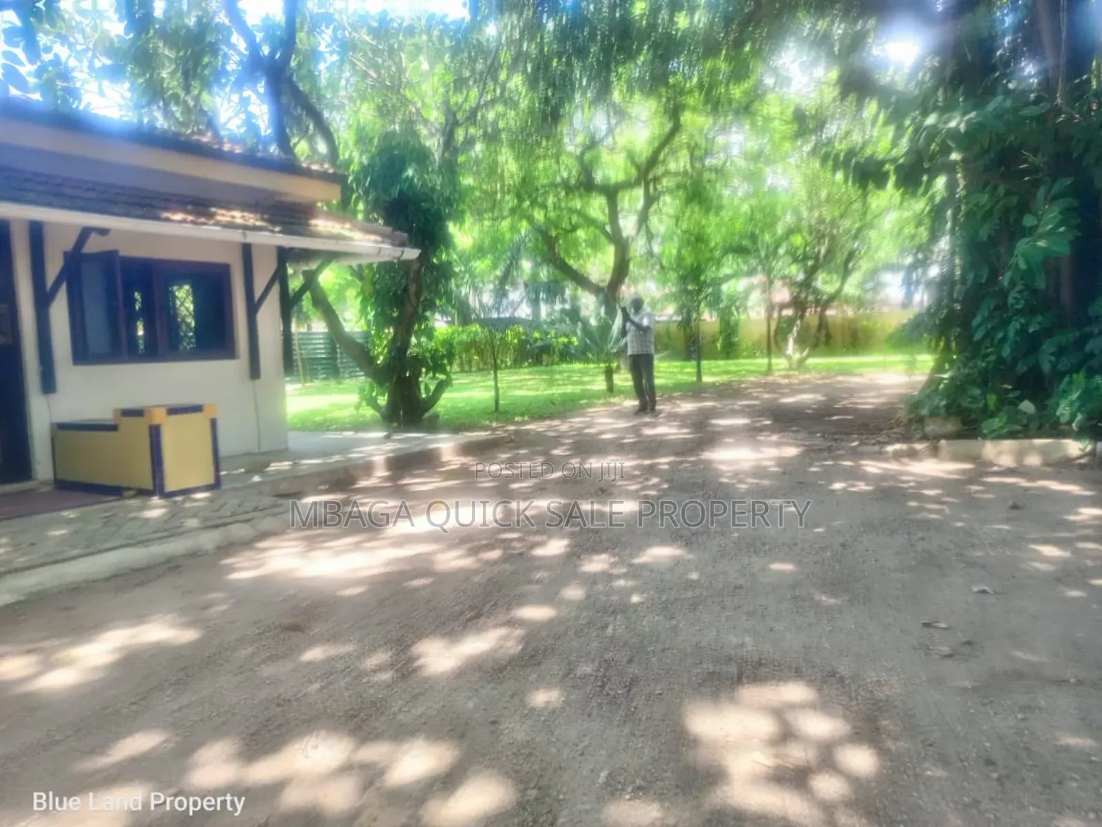 3bdrm Apartment in Masaki Peninsula for rent in Masaki
