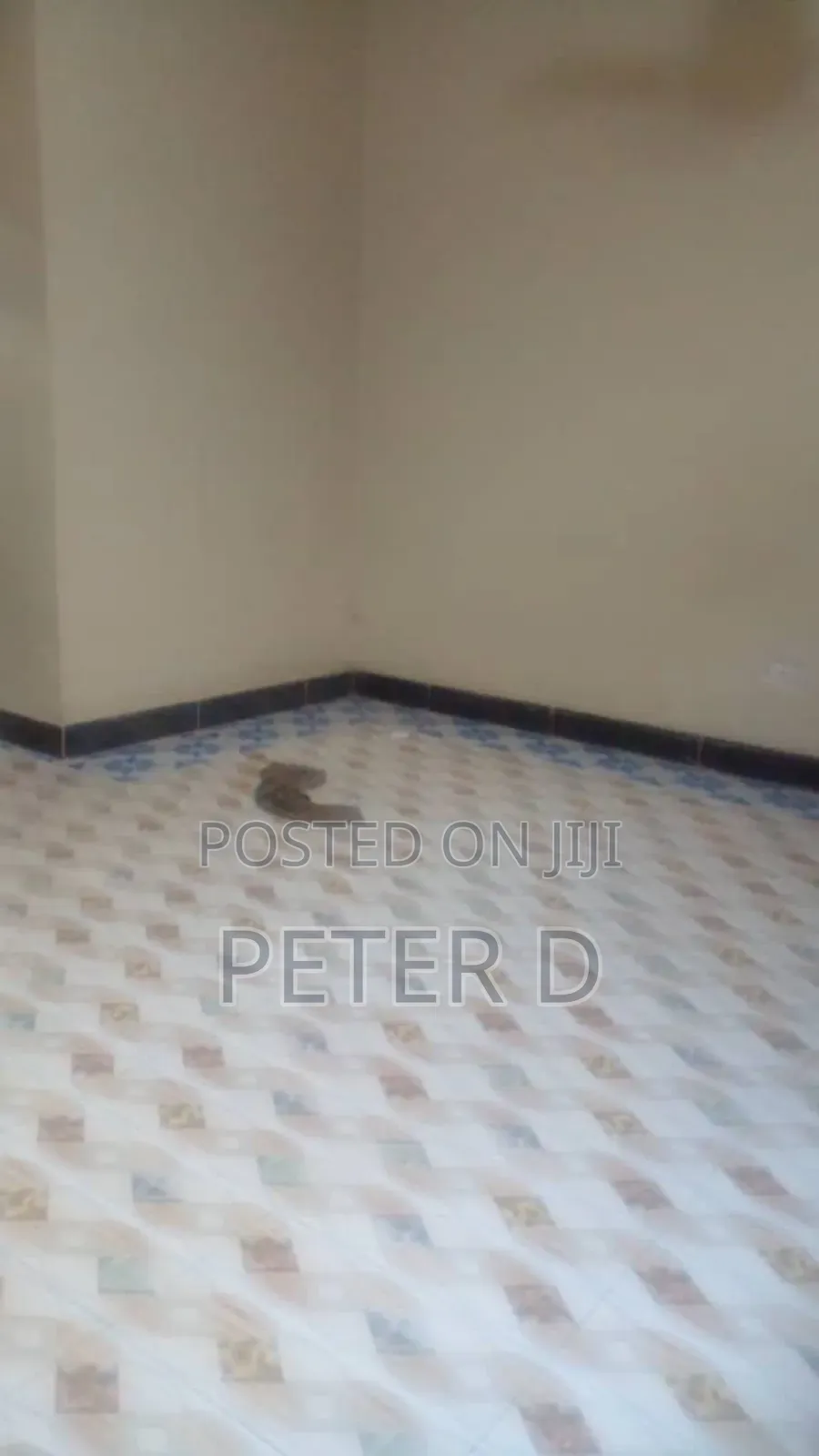 1bdrm Apartment in Kinondoni for rent in Kinondoni